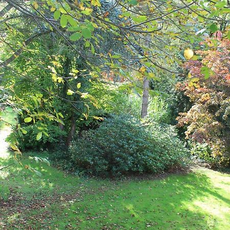 Bed and Breakfast Beau Reg'Art Hasselt Exterior foto